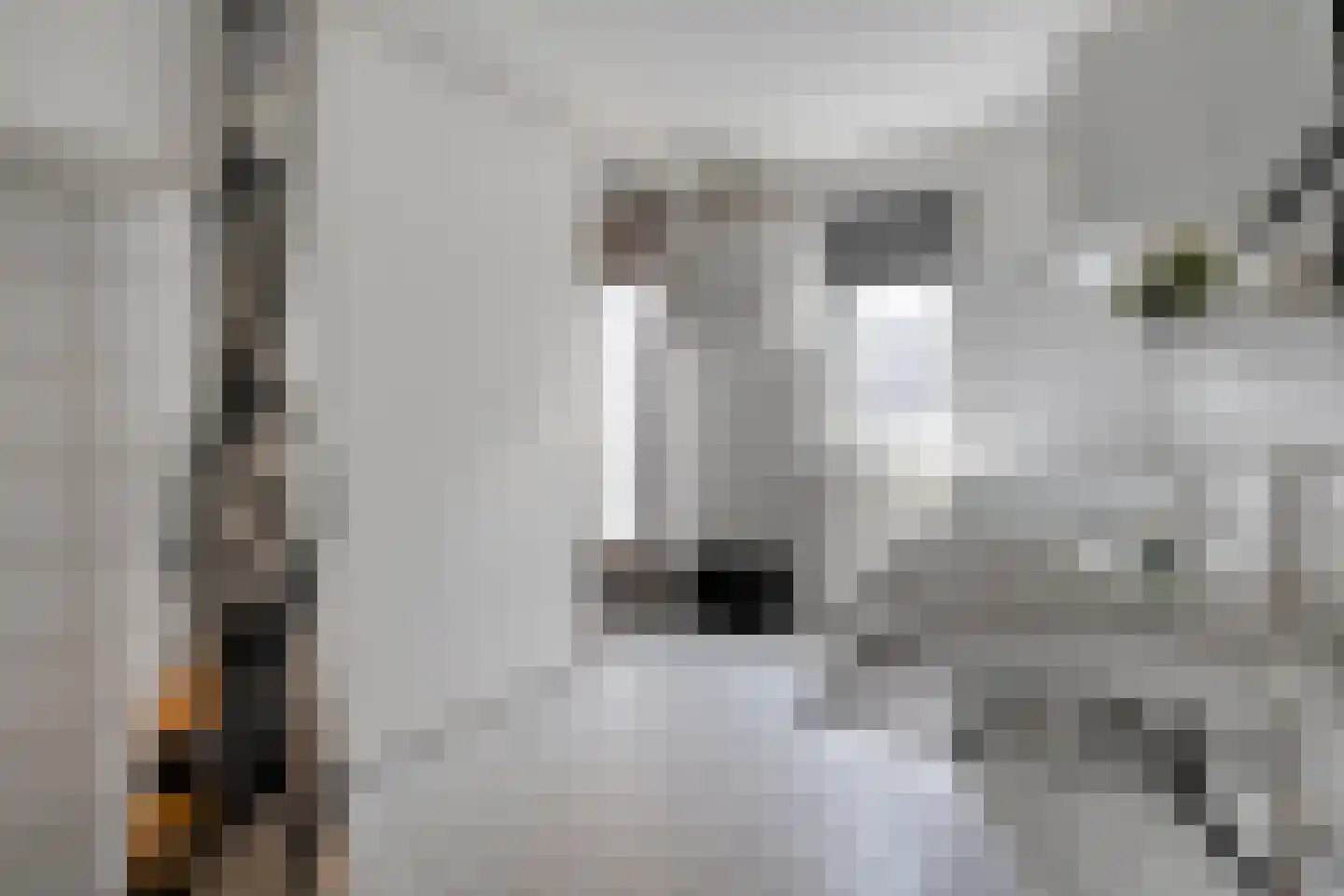Boekweitstraat 47 Dedemsvaart thumbnail 22
