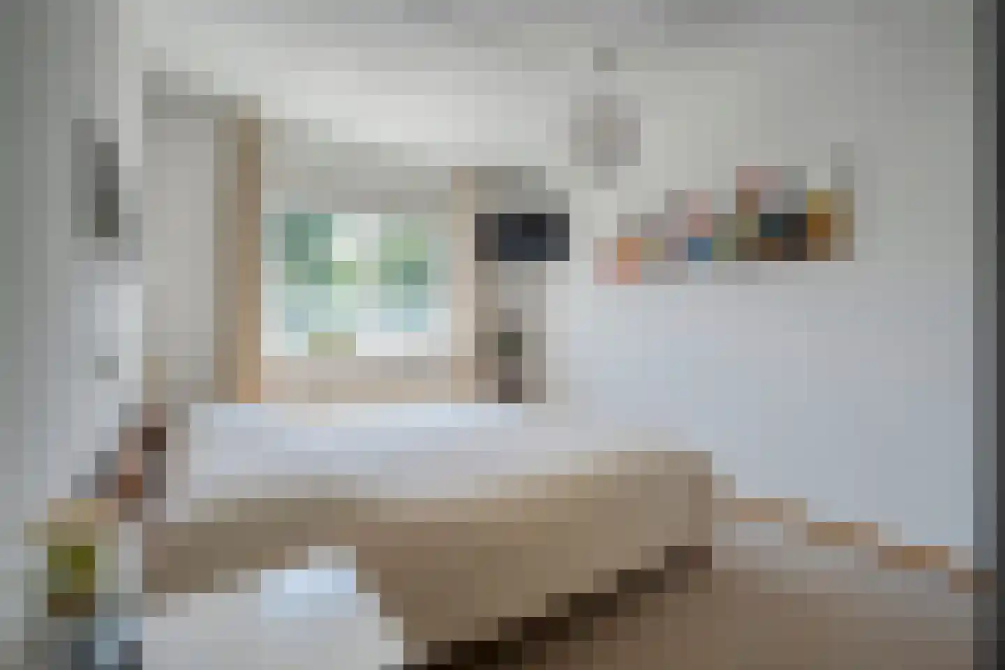 Boekweitstraat 47 Dedemsvaart thumbnail 24