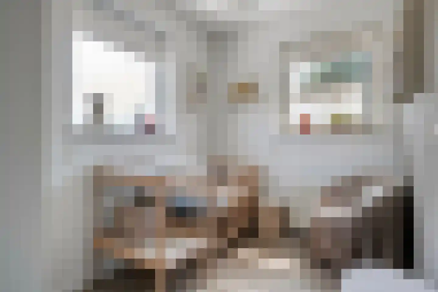 Boekweitstraat 47 Dedemsvaart thumbnail 31
