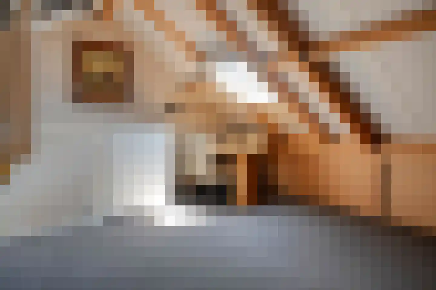 Boekweitstraat 47 Dedemsvaart thumbnail 33