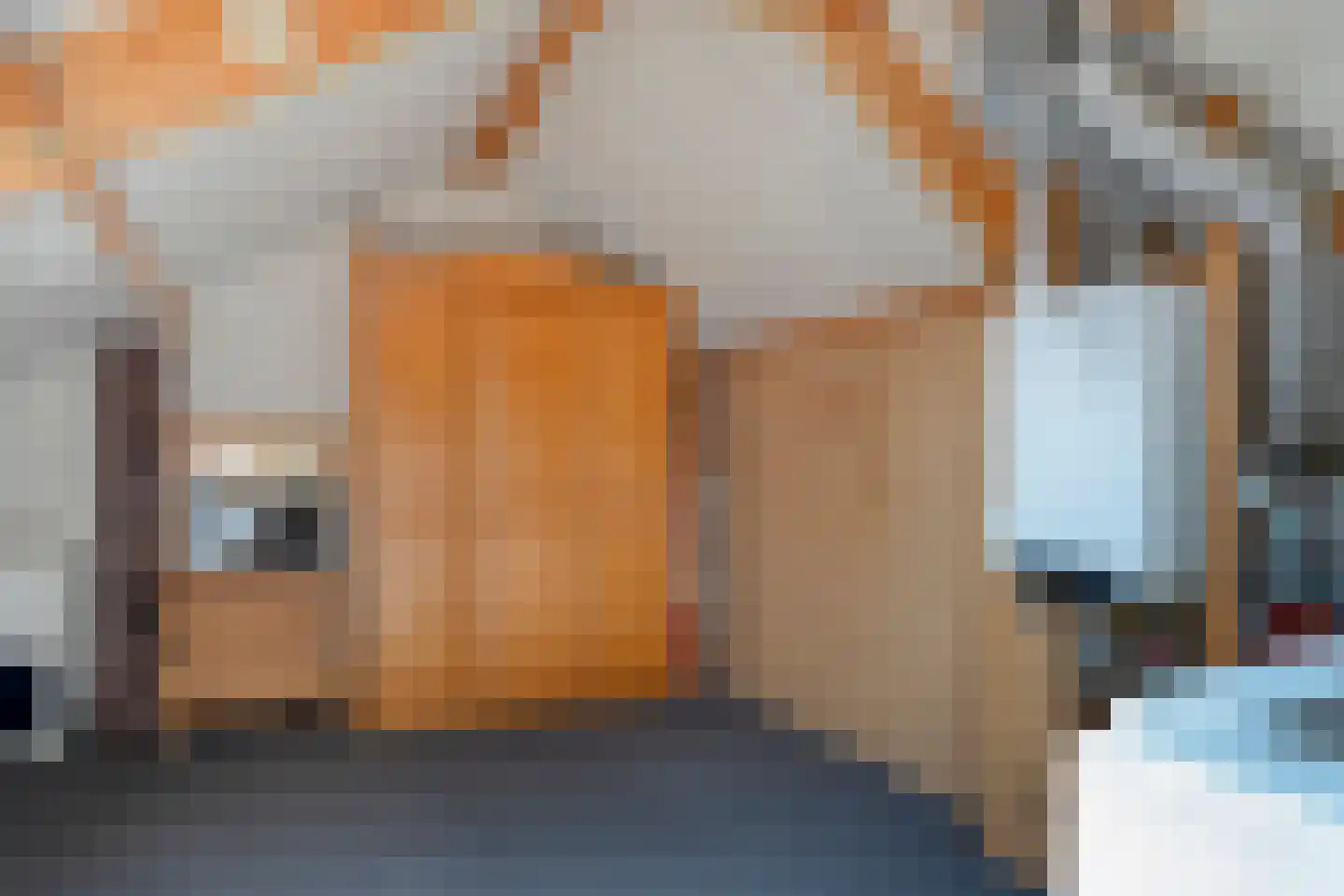 Boekweitstraat 47 Dedemsvaart thumbnail 35