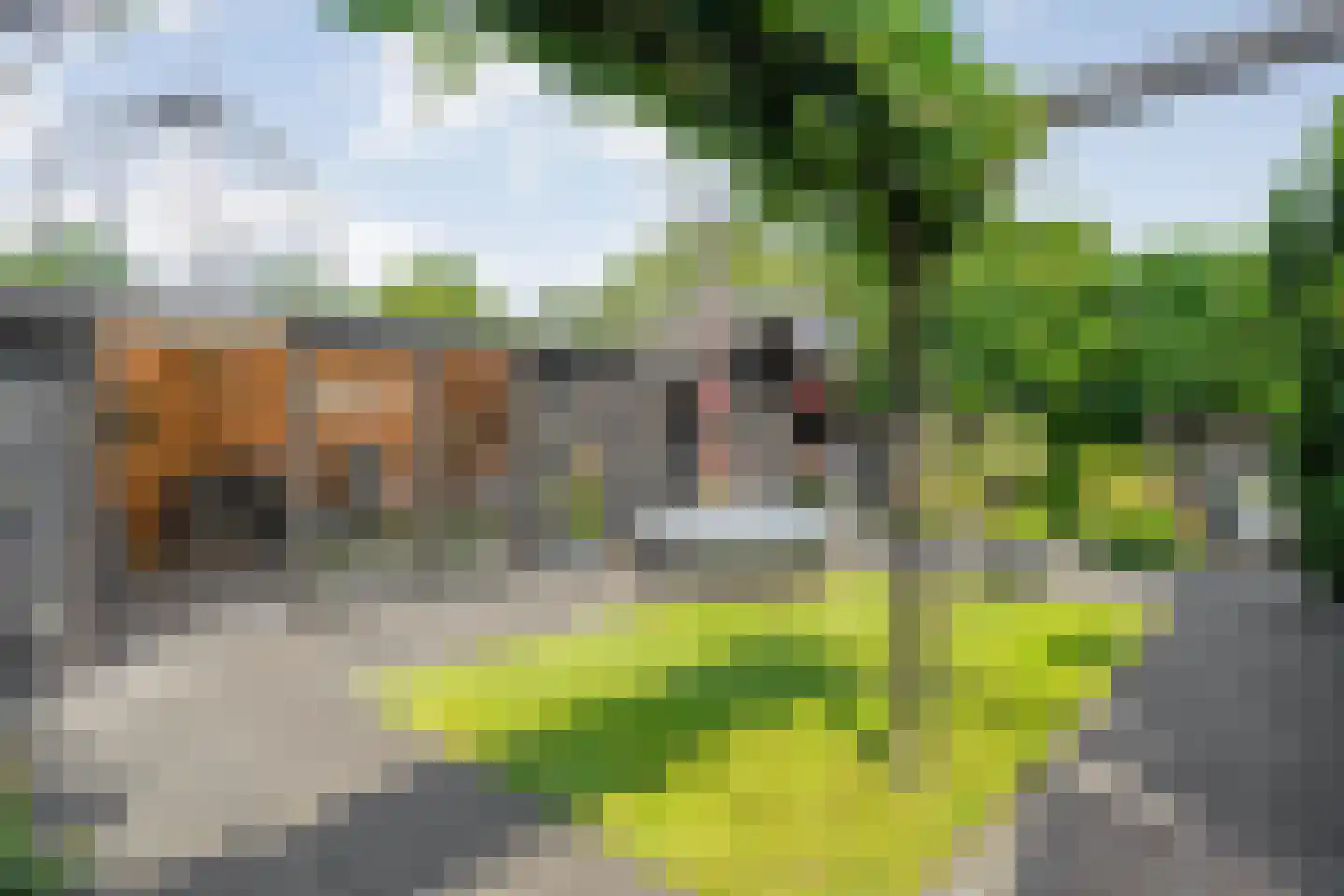Boekweitstraat 47 Dedemsvaart thumbnail 37