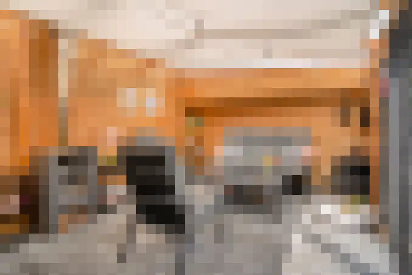 Boekweitstraat 47 Dedemsvaart thumbnail 38