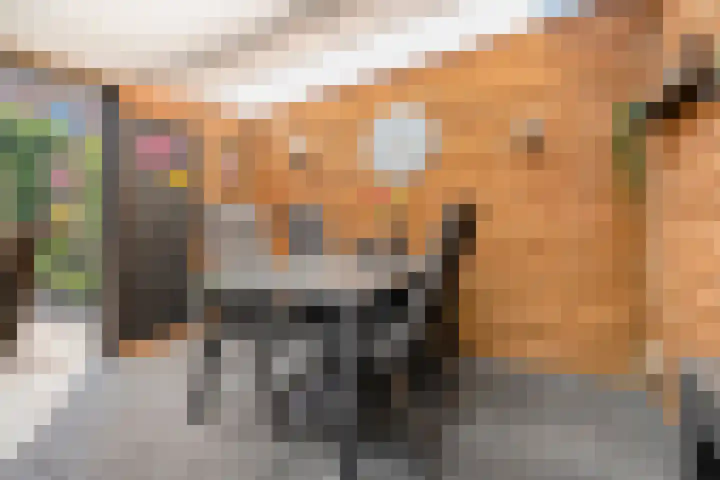 Boekweitstraat 47 Dedemsvaart thumbnail 39