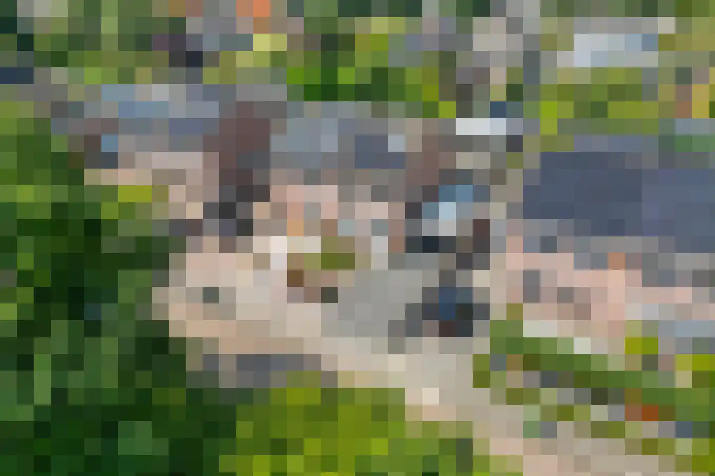 Boekweitstraat 47 Dedemsvaart thumbnail 4