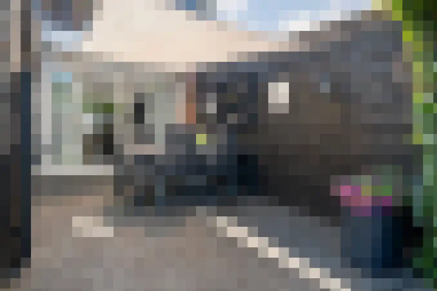Boekweitstraat 47 Dedemsvaart thumbnail 41