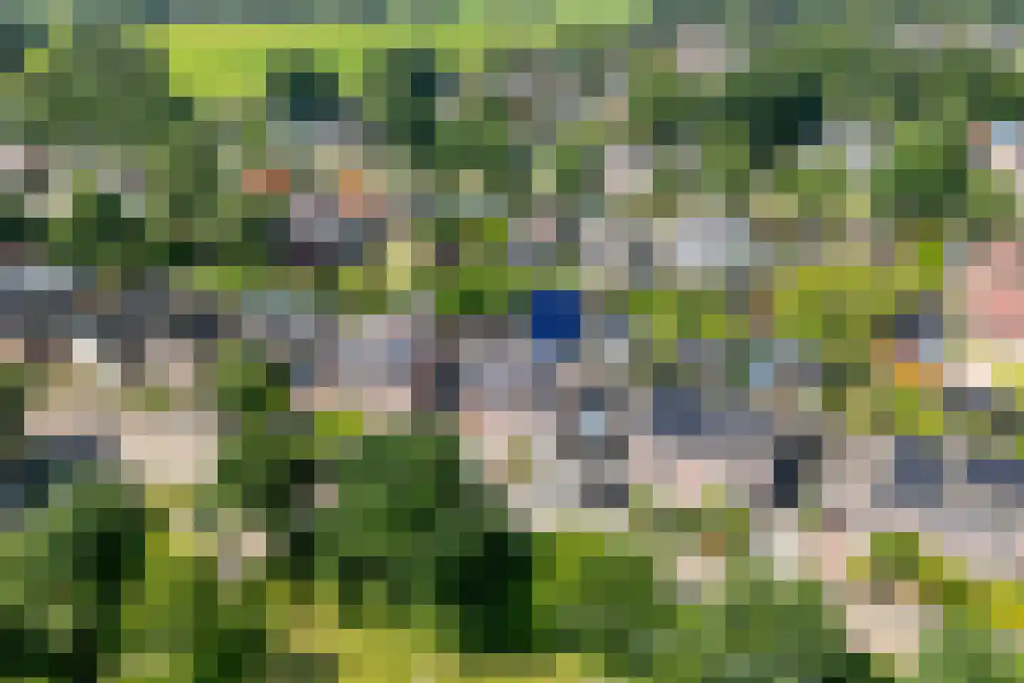Boekweitstraat 47 Dedemsvaart thumbnail 44