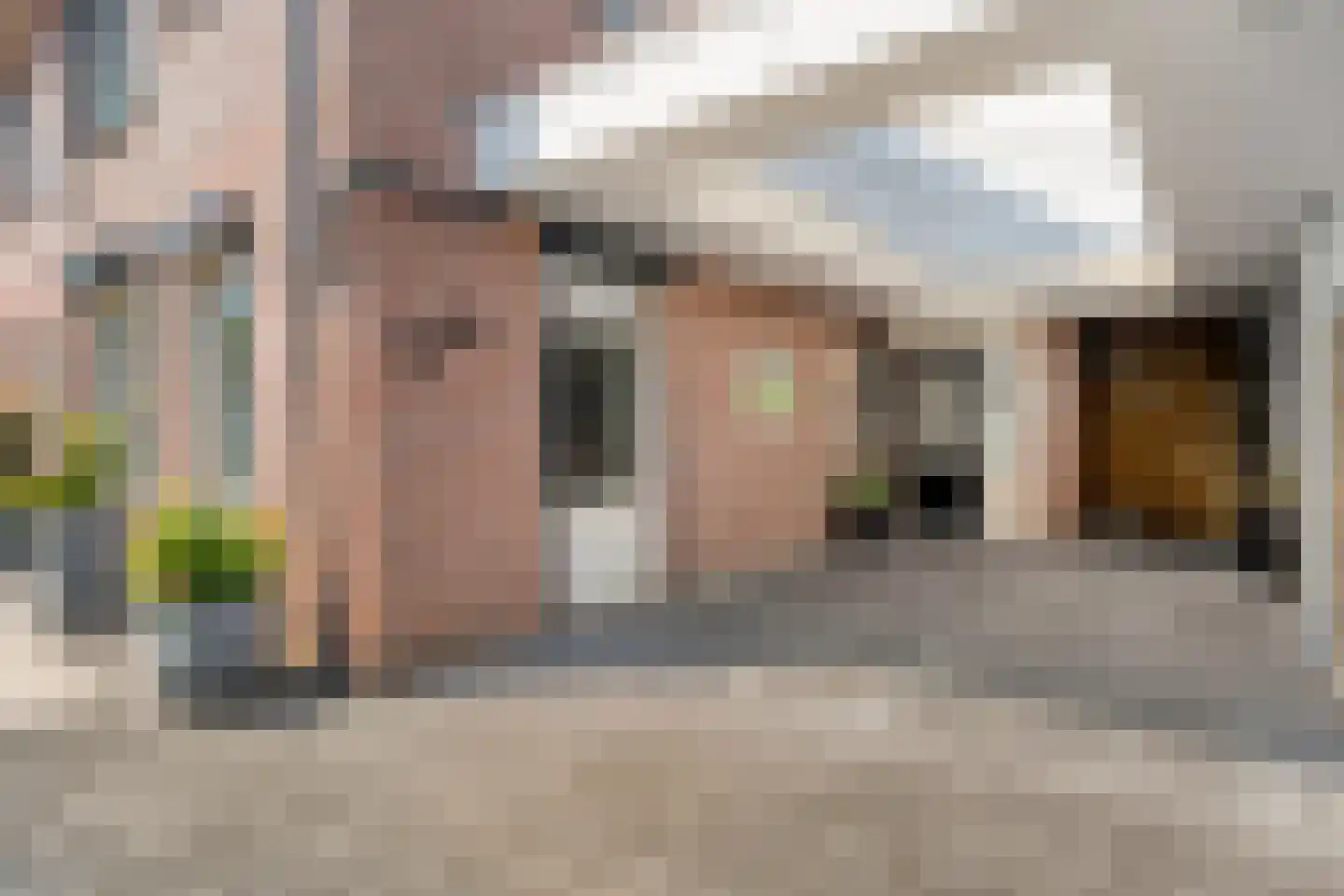 Boekweitstraat 47 Dedemsvaart thumbnail 6