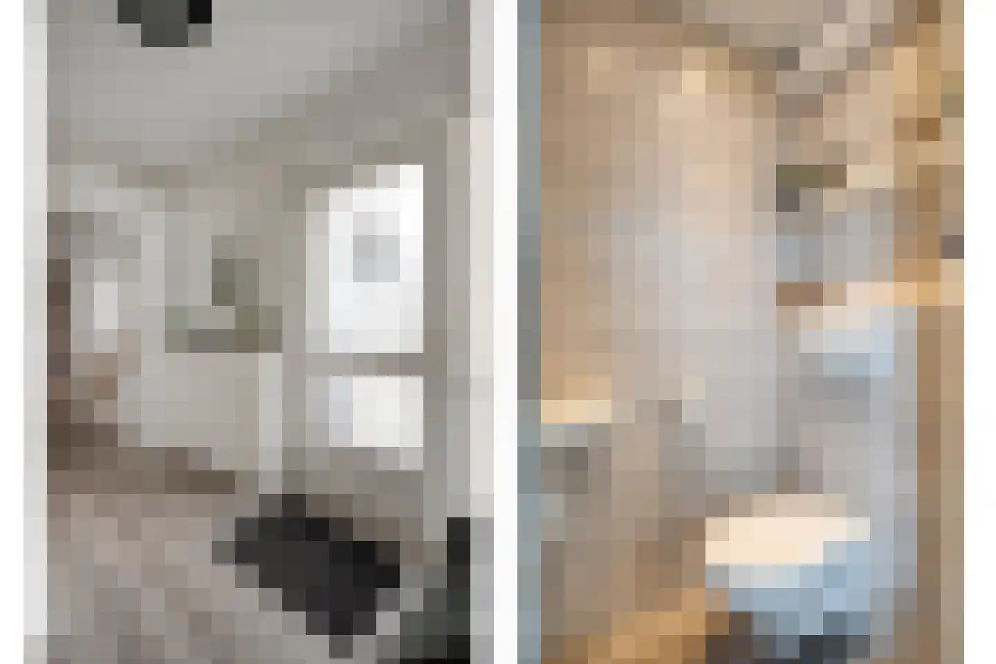 Boekweitstraat 47 Dedemsvaart thumbnail 8