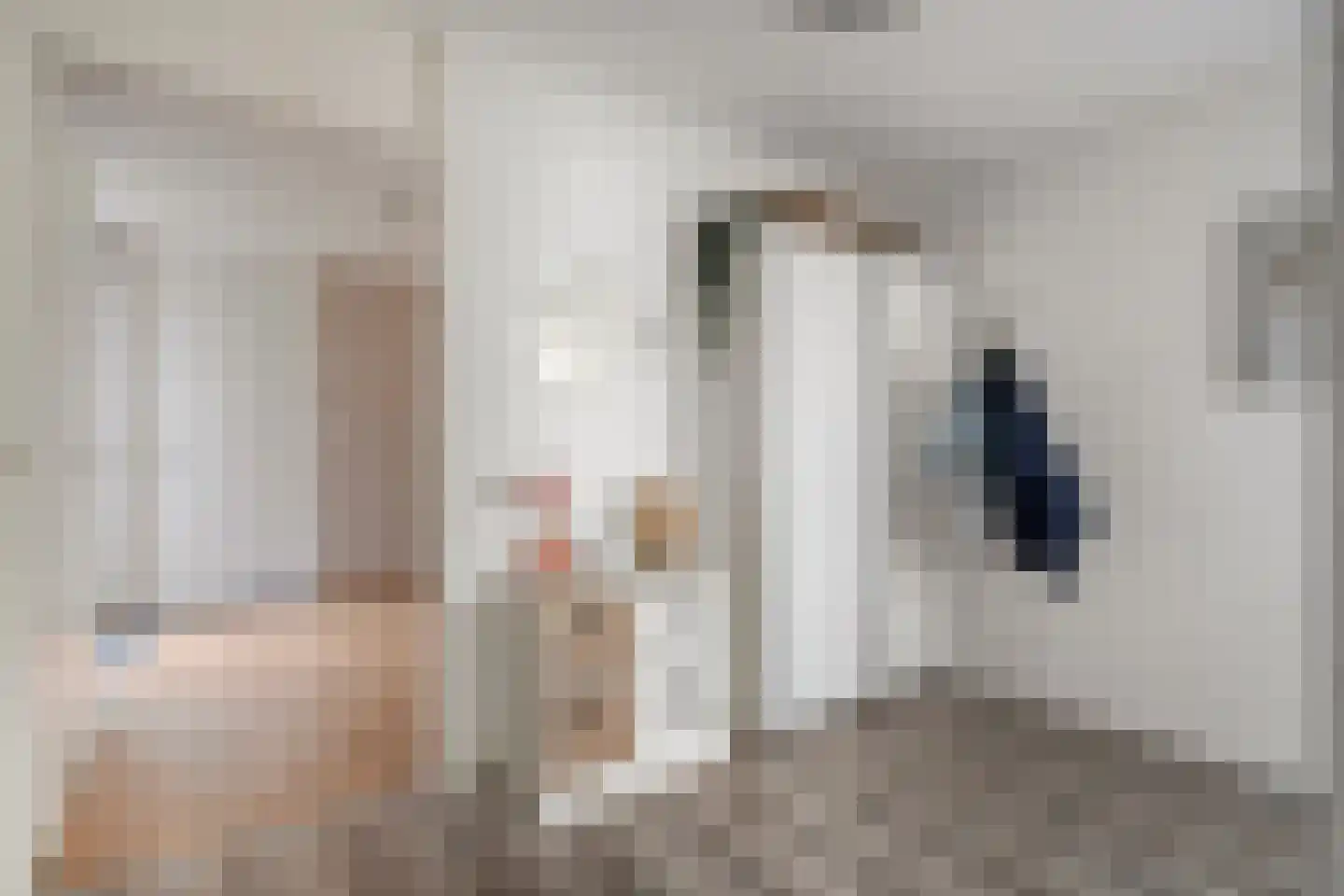 Boekweitstraat 47 Dedemsvaart thumbnail 9