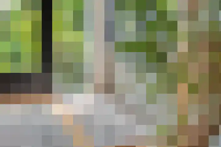 Boekweitstraat 5 Riethoven thumbnail 14