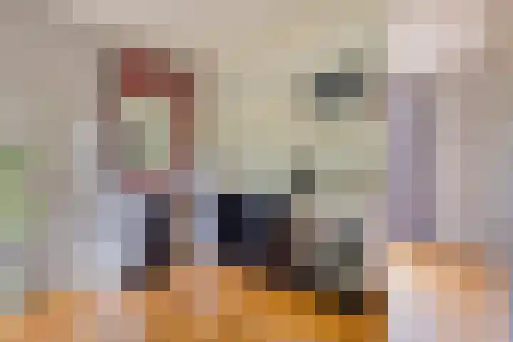 Boekweitstraat 5 Riethoven thumbnail 15