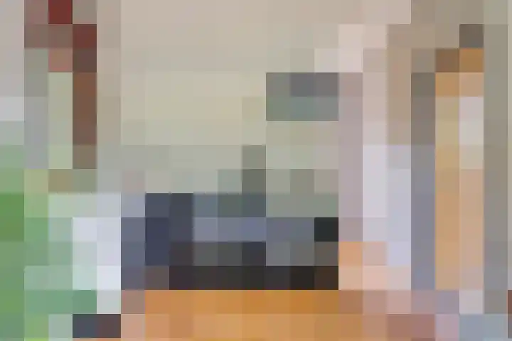 Boekweitstraat 5 Riethoven thumbnail 16