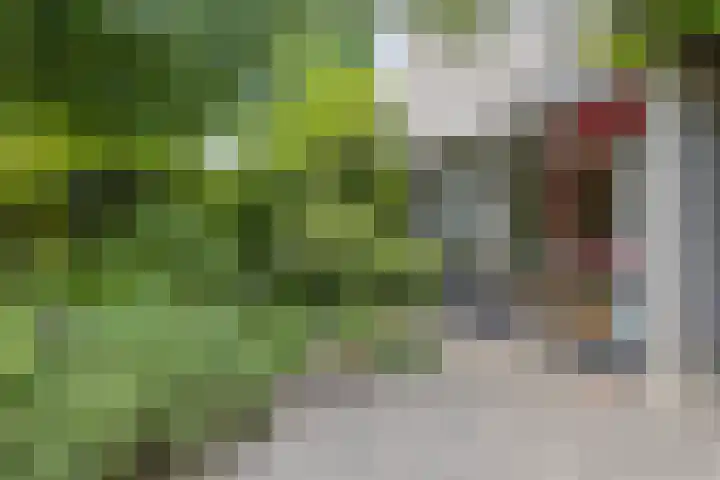 Boekweitstraat 5 Riethoven thumbnail 33