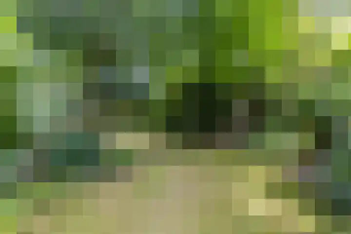 Boekweitstraat 5 Riethoven thumbnail 35