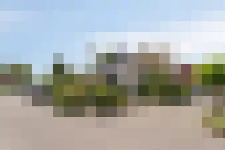 Boekweitstraat 5 Riethoven thumbnail 38