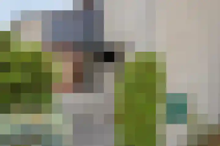 Boekweitstraat 5 Riethoven thumbnail 6