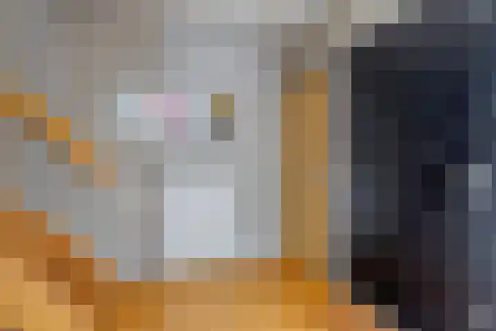 Boekweitstraat 5 Riethoven thumbnail 7