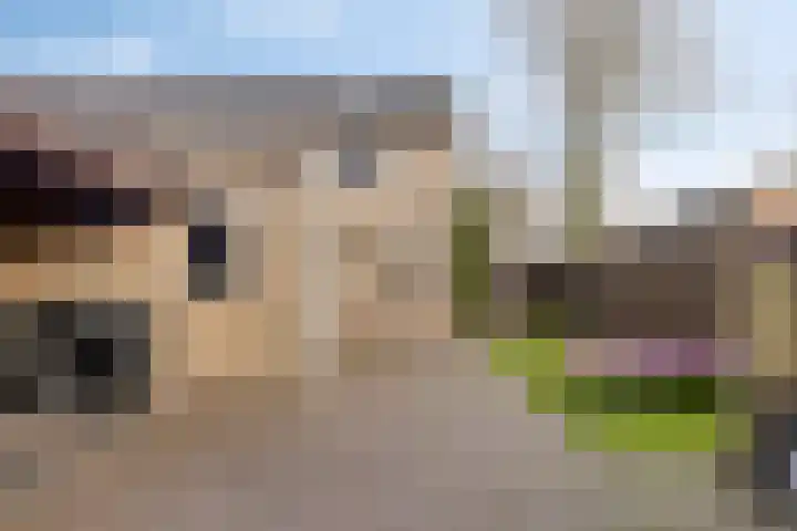 Boekweitstraat 50 Odiliapeel thumbnail 32