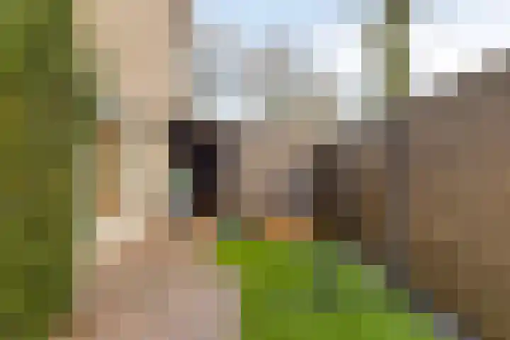 Boekweitstraat 50 Odiliapeel thumbnail 34