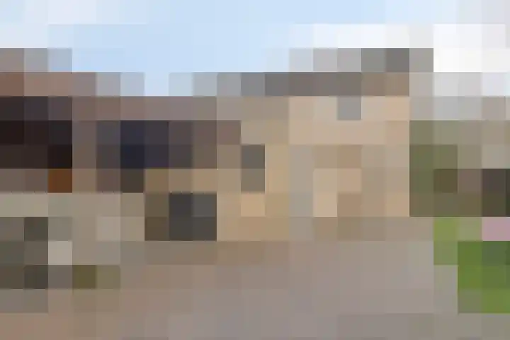 Boekweitstraat 50 Odiliapeel thumbnail 35