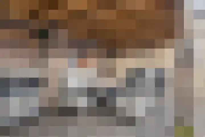 Boekweitstraat 50 Odiliapeel thumbnail 37