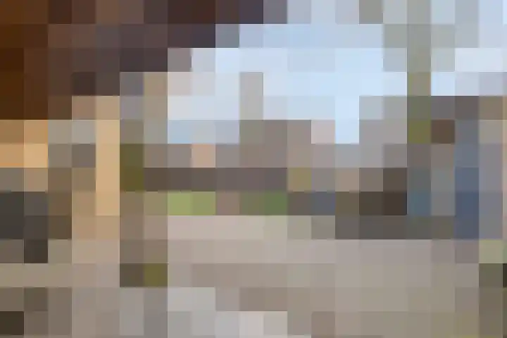 Boekweitstraat 50 Odiliapeel thumbnail 38