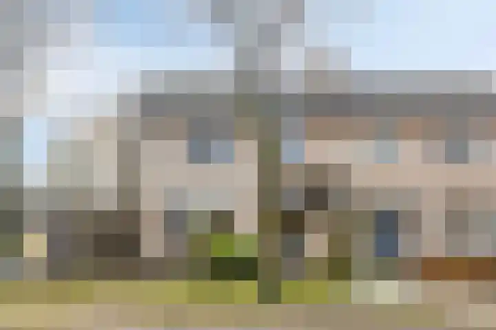 Boekweitstraat 50 Odiliapeel thumbnail 40