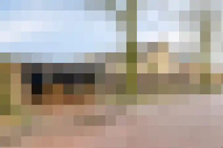Boekweitstraat 50 Odiliapeel thumbnail 44