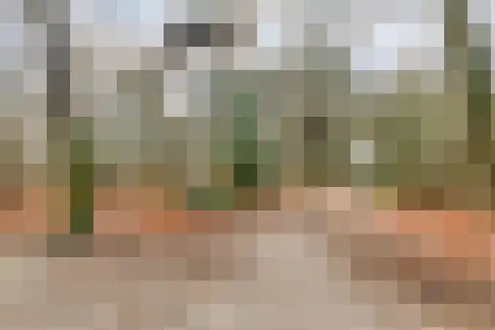 Boekweitstraat 50 Odiliapeel thumbnail 45