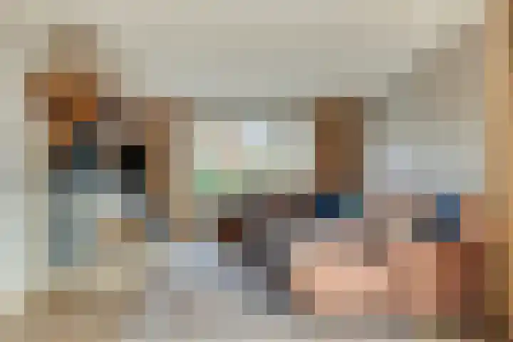 Boekweitstraat 50 Odiliapeel thumbnail 5