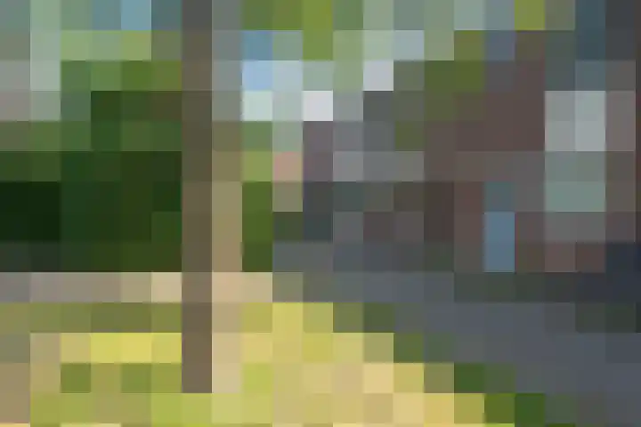 Boekweitstraat 59 Purmerend thumbnail 35