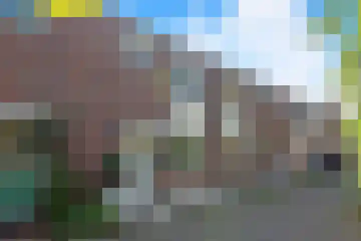 Boekweitstraat 59 Purmerend thumbnail 4