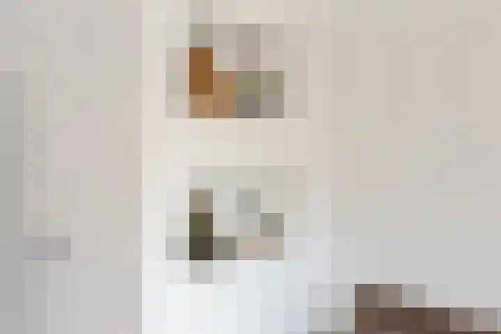 Boekweitstraat 59 Purmerend thumbnail 8