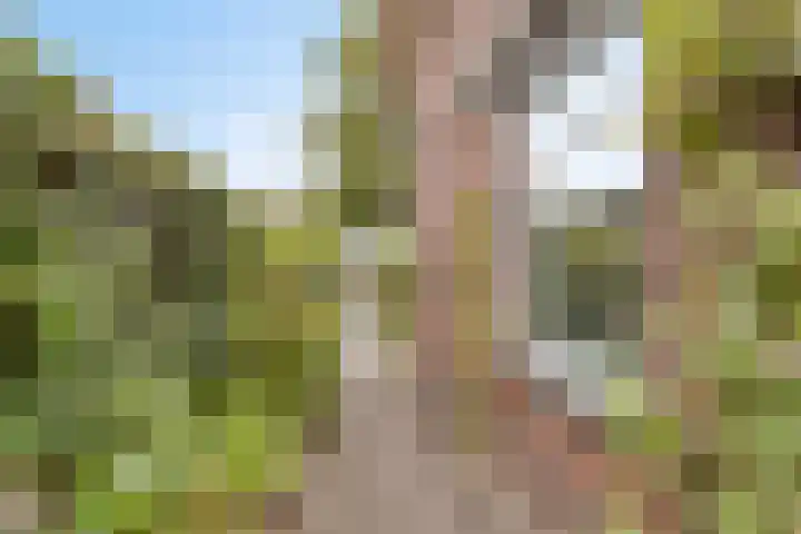 Boekweitstraat 6 Nieuw-Balinge thumbnail 8