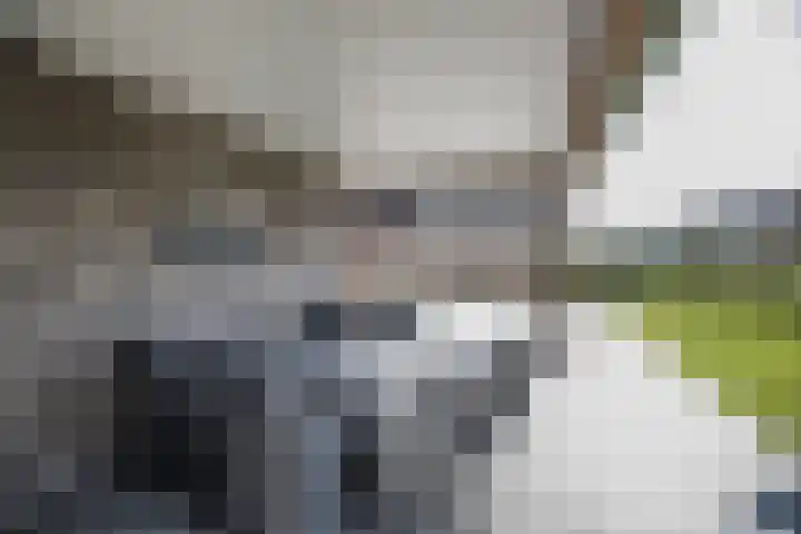 Boekweitstraat 6 Westerhaar-Vriezenveensewijk thumbnail 24