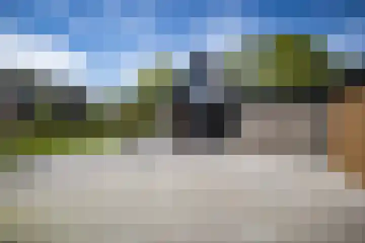 Boekweitstraat 6 Westerhaar-Vriezenveensewijk thumbnail 25