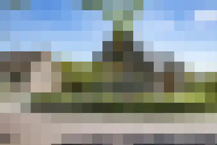 Boekweitstraat 6 Westerhaar-Vriezenveensewijk thumbnail 35