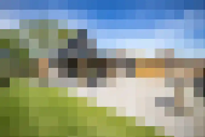 Boekweitstraat 6 Westerhaar-Vriezenveensewijk thumbnail 4