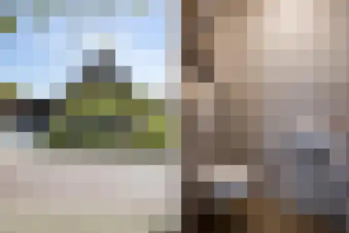 Boekweitstraat 6 Westerhaar-Vriezenveensewijk thumbnail 5