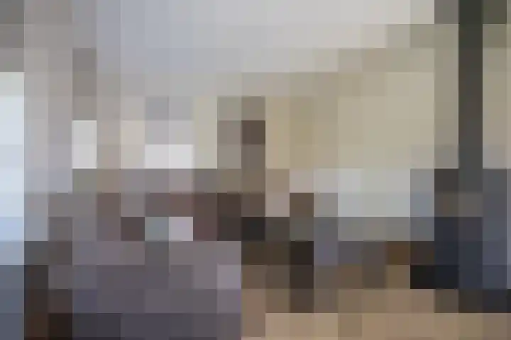 Boekweitstraat 6 Westerhaar-Vriezenveensewijk thumbnail 9