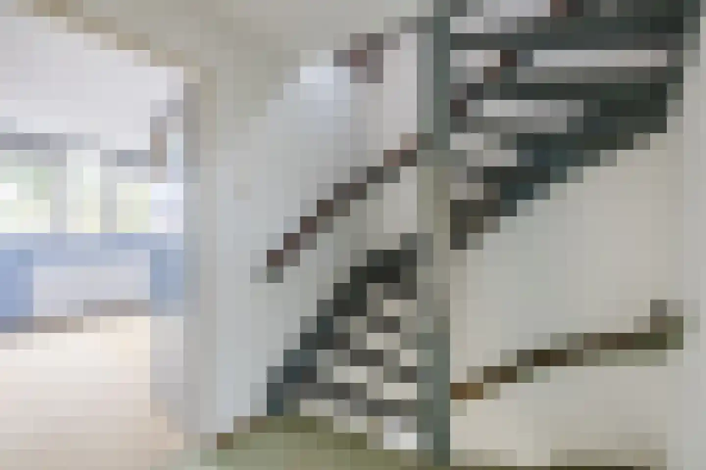 Boekweitstraat 6 Zuidwolde thumbnail 21