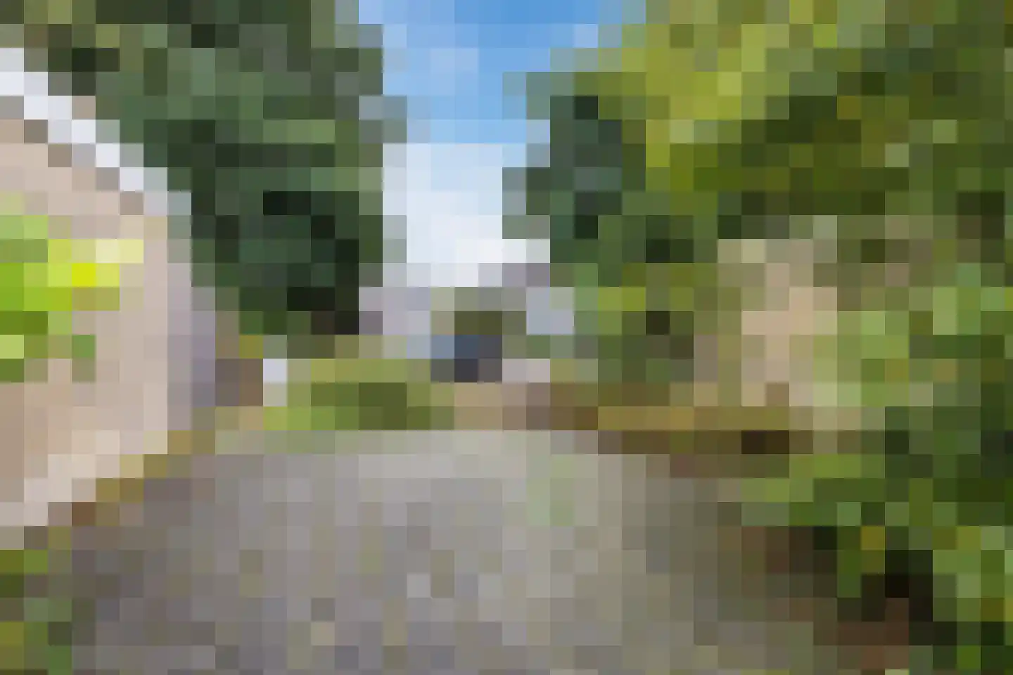 Boekweitstraat 6 Zuidwolde thumbnail 27