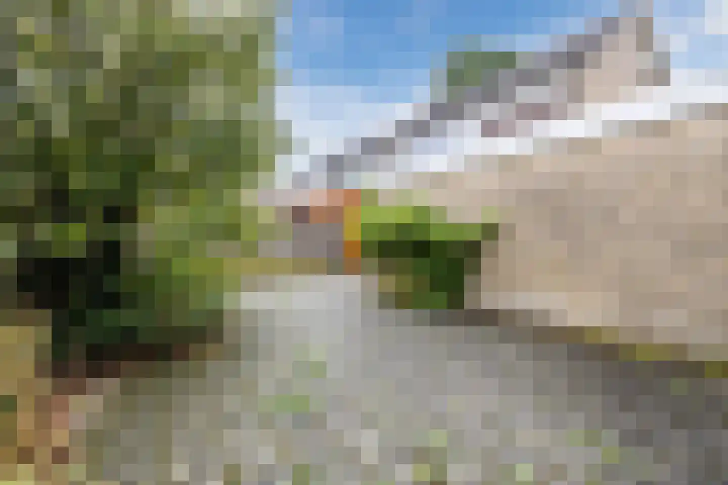 Boekweitstraat 6 Zuidwolde thumbnail 28
