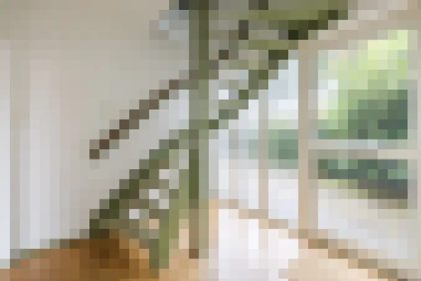 Boekweitstraat 6 Zuidwolde thumbnail 5