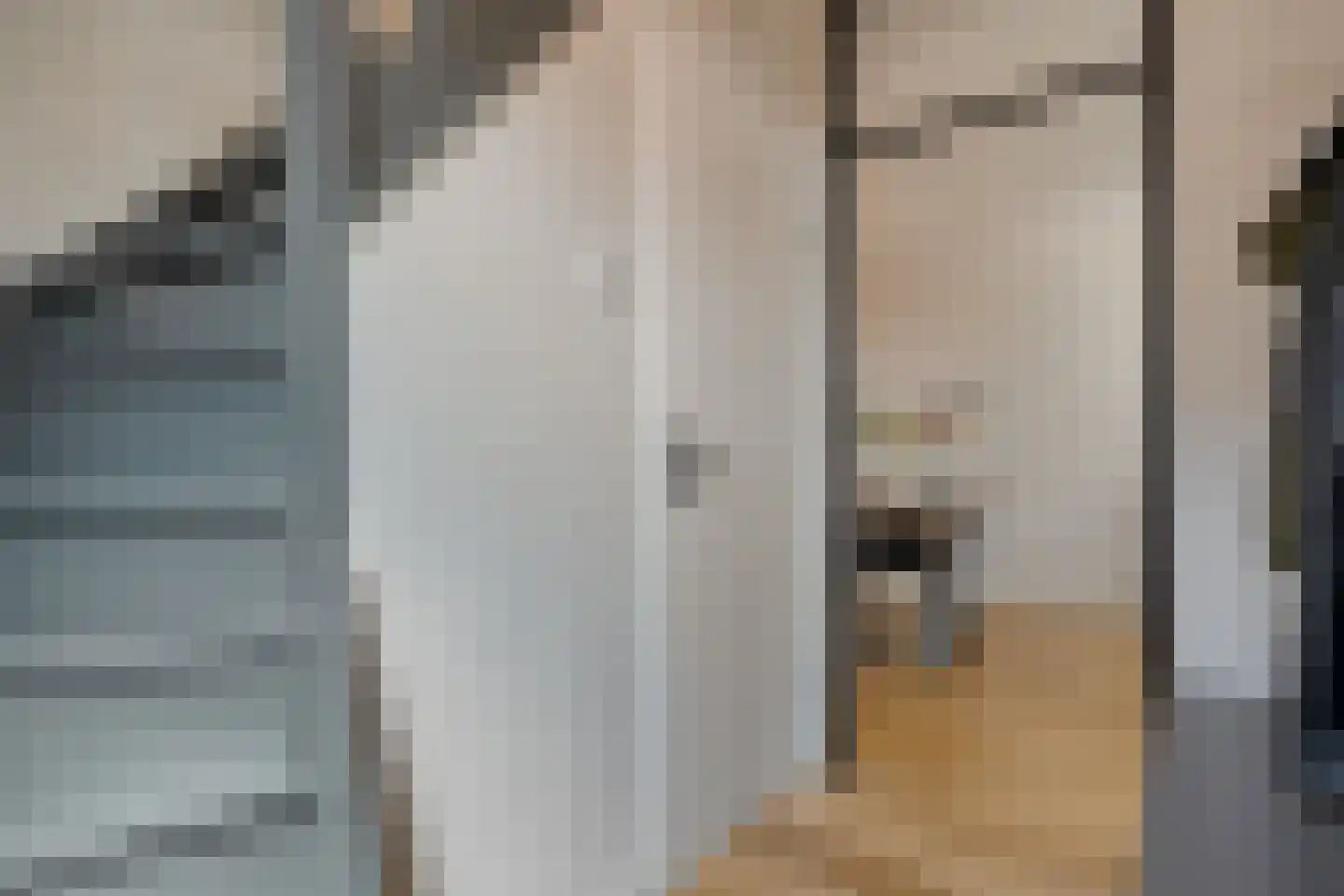 Boekweitstraat 65 Dedemsvaart thumbnail 10