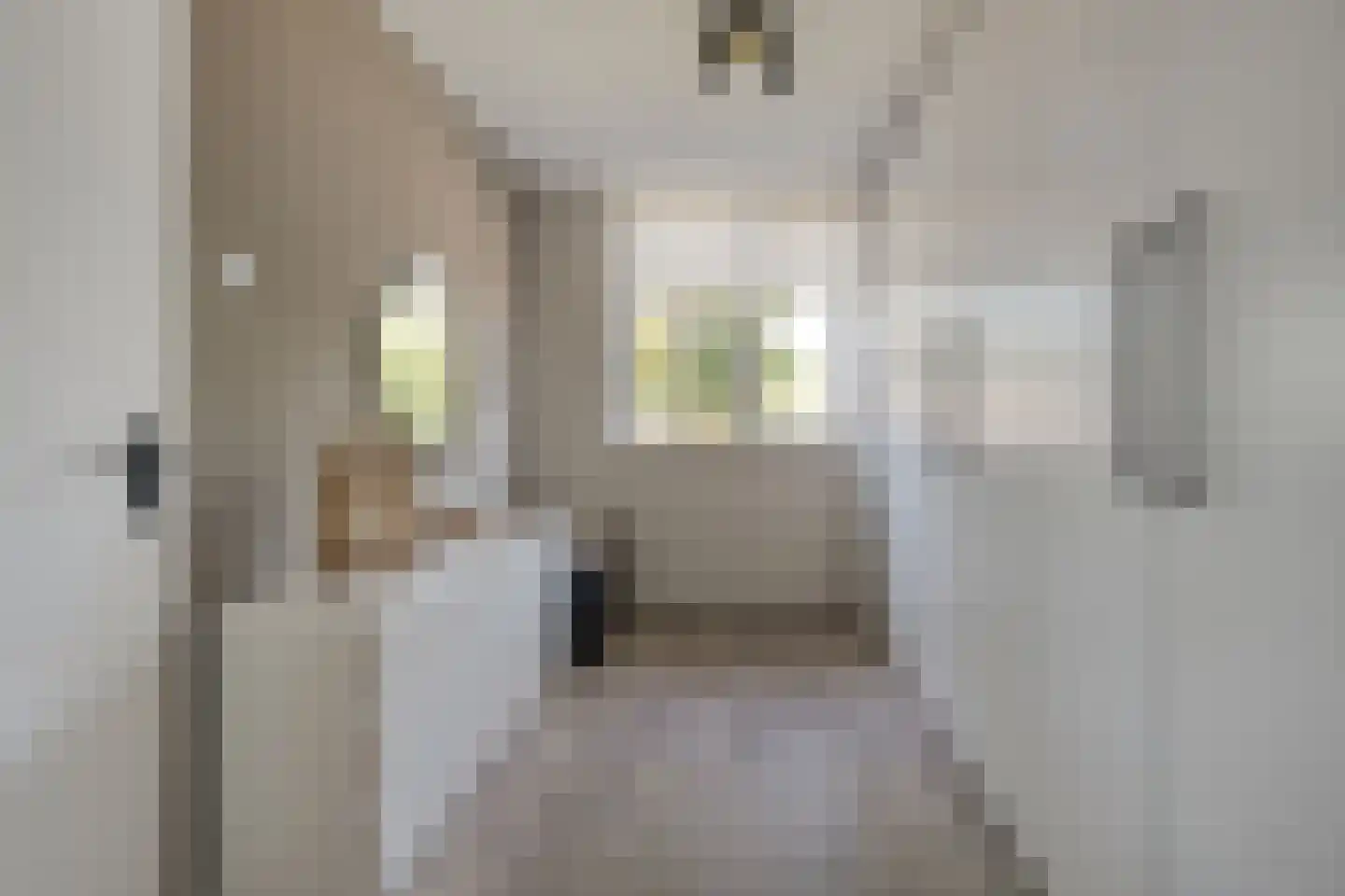 Boekweitstraat 65 Dedemsvaart thumbnail 23