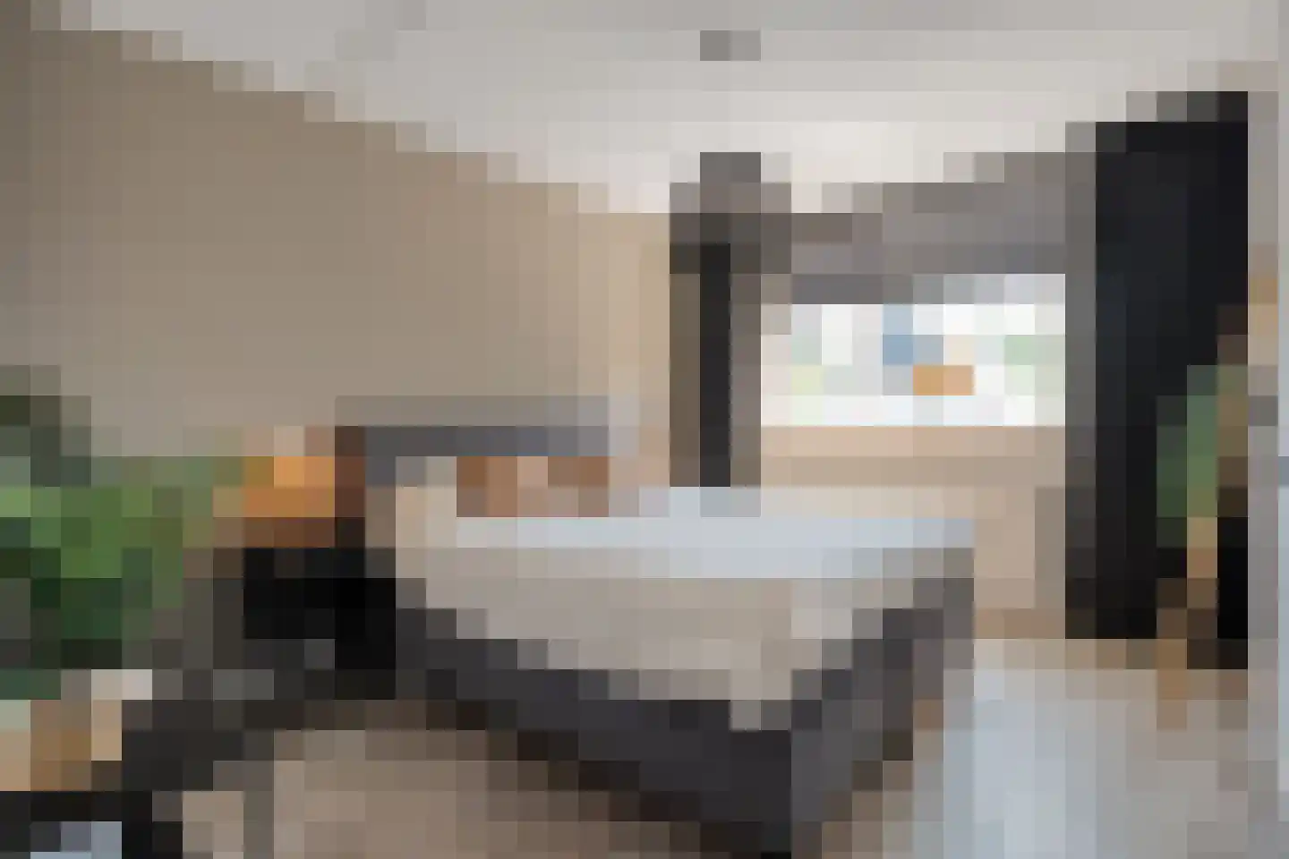 Boekweitstraat 65 Dedemsvaart thumbnail 25