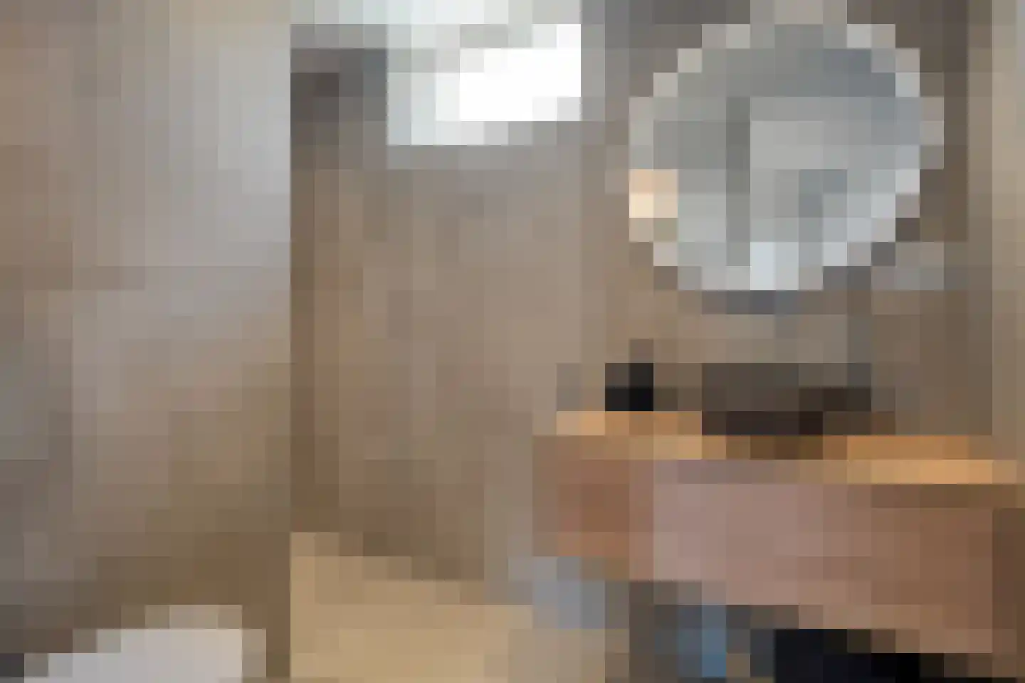 Boekweitstraat 65 Dedemsvaart thumbnail 29