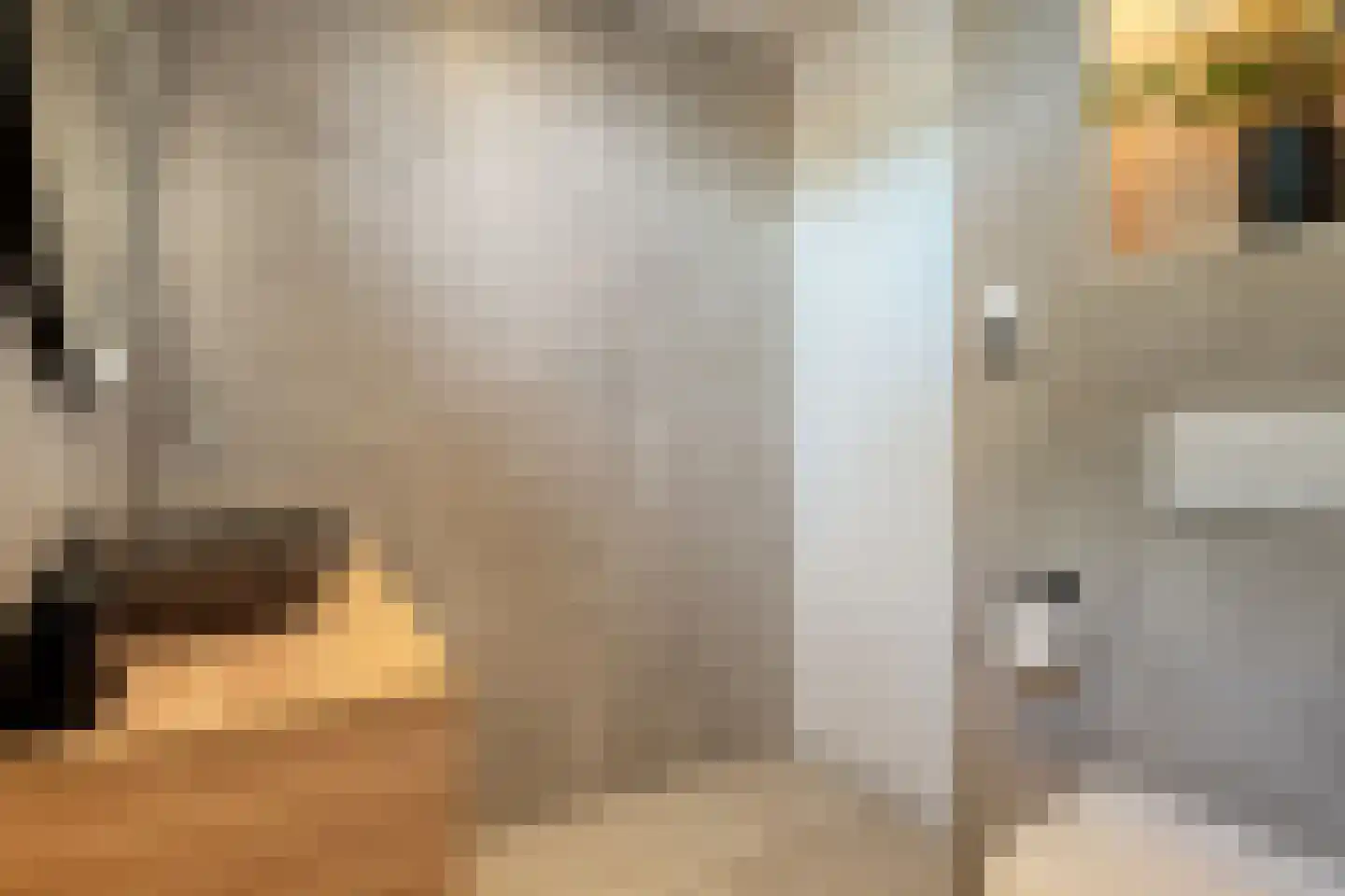 Boekweitstraat 65 Dedemsvaart thumbnail 30